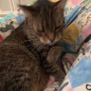 Meet your Posher, Fred